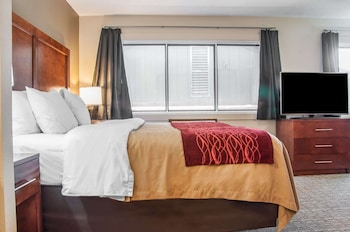 Suite, 1 King Bed with Sofa bed, Accessible, Non Smoking (Efficiency, Upgrade)