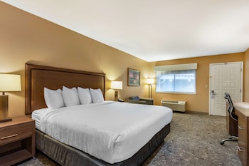 Junior Suite, 1 King Bed, Non Smoking, Balcony (with Sofabed)