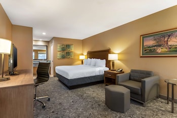 Junior Suite, 1 King Bed, Non Smoking, Balcony (with Sofabed)