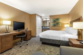 Junior Suite, 1 King Bed, Non Smoking, Balcony (with Sofabed)