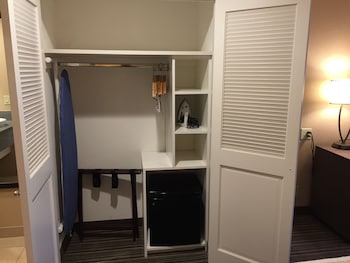 Standard Room, 1 King Bed, Accessible, Non Smoking (Walk-in Shower)