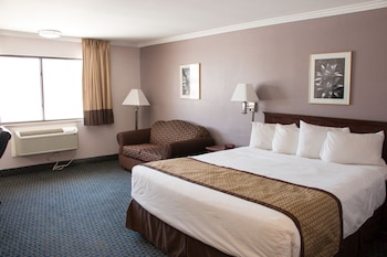 Room, 1 King Bed, Non Smoking (Mobility/Hearing/Roll-In Shower)