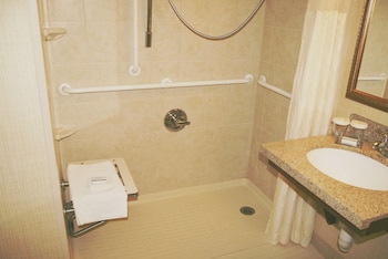 Room, 1 King Bed, Accessible (Roll-In Shower, Hearing)