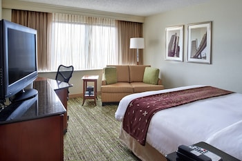 Room, 1 King Bed with Sofa bed
