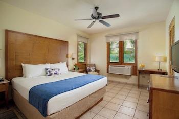 Luxury Villa, 3 Bedrooms, Non Smoking