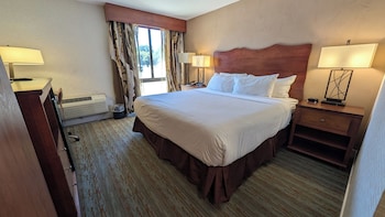 Room, 1 King Bed, Non Smoking