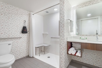 Standard Room, 1 King Bed, Accessible (Communications, Roll-In Shower)