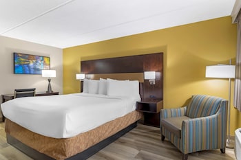 Standard Room, 1 King Bed, Non Smoking, Refrigerator & Microwave