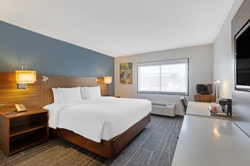 Room, 1 King Bed, Non Smoking
