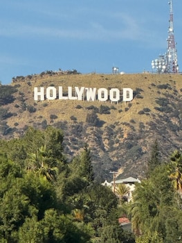 King Hollywood Sign View