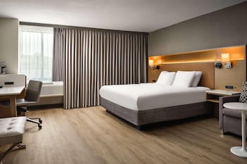 Room, 1 King Bed with Sofa bed, Non Smoking (Roll-in Shower)