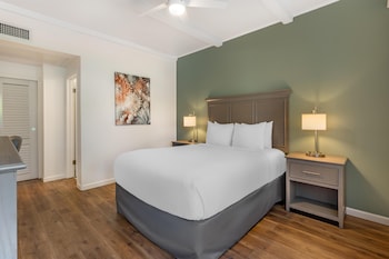 Standard Room, 1 Queen Bed, Non Smoking, Refrigerator & Microwave