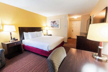 Standard Room, 1 King Bed