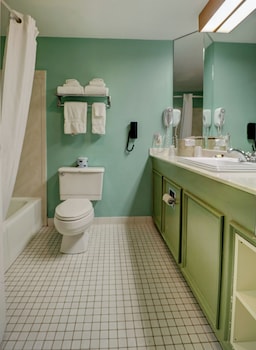 Premium Two Queen | Pet-Friendly