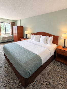 Room, 1 King Bed, Non Smoking (Mobility, Tub w/Grab Bar)