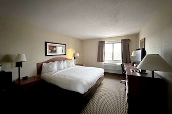 Room, 1 King Bed, Non Smoking