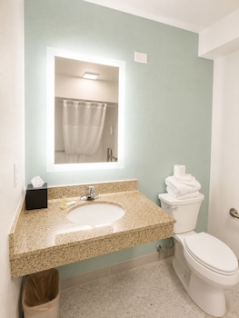Room, 1 King Bed, Non Smoking (Mobility, Roll-in Shower)