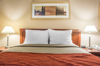 Business Room, 1 Queen Bed, Non Smoking (Upgrade)