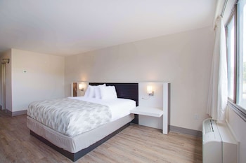 Deluxe Suite, 1 King Bed, Non Smoking