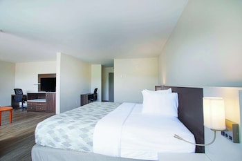 Deluxe Suite, 1 King Bed, Non Smoking