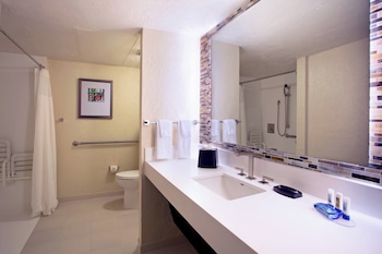 Studio Suite, 1 King Bed with Sofa bed (Mobility Accessible, Roll-In Shower)