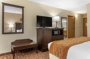 Room, 1 King Bed, Non Smoking