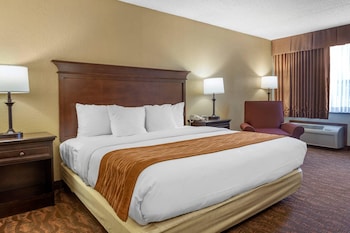 Room, 1 King Bed, Non Smoking, Jetted Tub