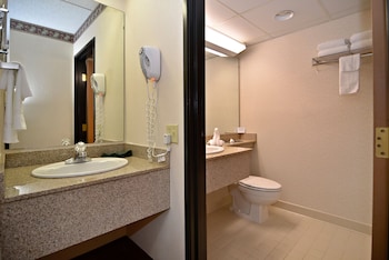 Standard Room, 1 King Bed, Accessible, Non Smoking