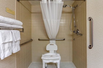 Room, 1 King Bed, Accessible, Non Smoking (Roll-In Shower)