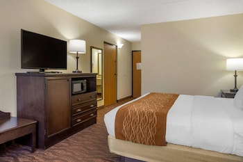 Room, 1 King Bed, Non Smoking, Jetted Tub