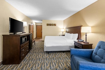 Room, 1 King Bed, Accessible, Non Smoking (Accessible Tub)