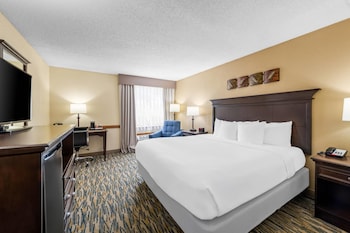 Standard Room, 1 King Bed, Accessible, Non Smoking