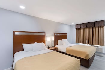 Standard Double Room, 2 Double Beds, Non Smoking