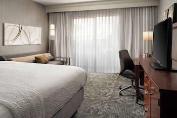 Room, 1 King Bed with Sofa bed
