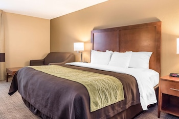 Room, 1 King Bed with Sofa bed, Accessible, Non Smoking