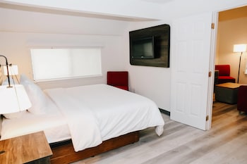 Room, Multiple Beds, Non Smoking (Deluxe Penthouse Suite)