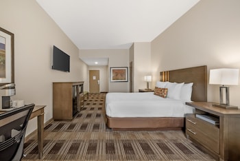 Standard Room, 1 Queen Bed, Accessible, Refrigerator & Microwave (Walk-in Shower)
