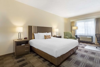 Suite, 1 King Bed, Non Smoking, Kitchen (Living Room, Full Kitchen)