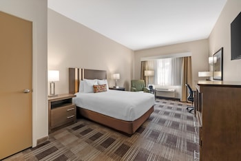 Standard Room, 1 Queen Bed, Accessible, Refrigerator & Microwave (Walk-in Shower)