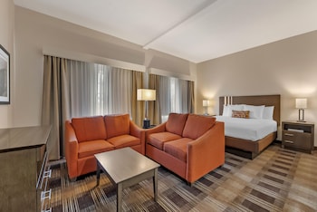 Suite, 1 King Bed, Non Smoking, Kitchen (with Sofabed, Full Kitchen)