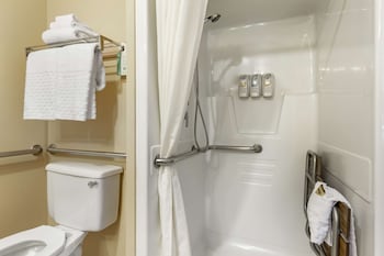 Standard Room, 1 Queen Bed, Accessible, Refrigerator & Microwave (Walk-in Shower)