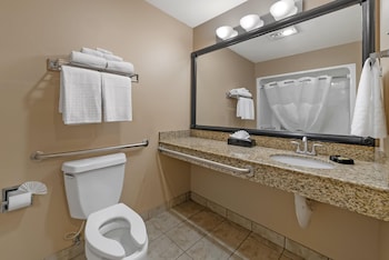 Standard Room, 1 Queen Bed, Accessible, Refrigerator & Microwave (Walk-in Shower)