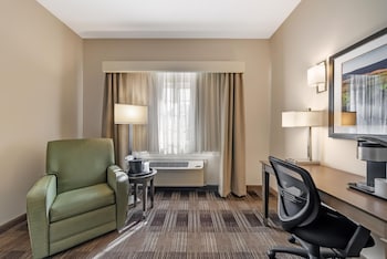 Standard Room, 1 Queen Bed, Accessible, Refrigerator & Microwave (Walk-in Shower)