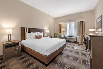 Standard Room, 1 King Bed, Accessible, Refrigerator & Microwave