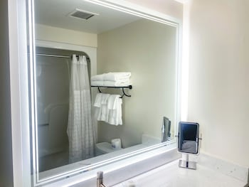 Accessible Room, 1 King Bed with Roll-in Shower