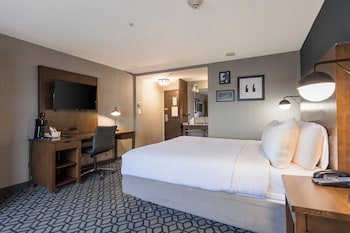 Standard Room, 1 King Bed, Accessible, Non Smoking