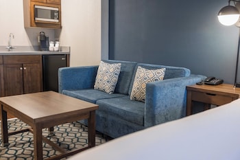 Suite, 1 Bedroom