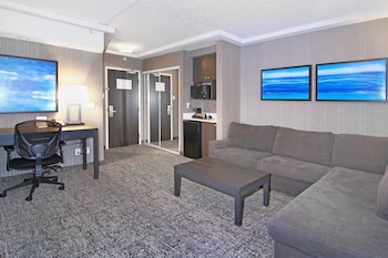 Standard Room, 1 King Bed with Sofa bed