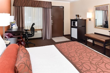 Standard Room, 1 Queen Bed, Accessible, Non Smoking (Fees apply over 2 adults)