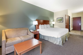 Standard Room, 1 Queen Bed, Non Smoking, Refrigerator & Microwave